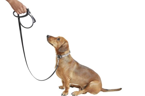 Dog Auto Leash  - Black & Grey Combined