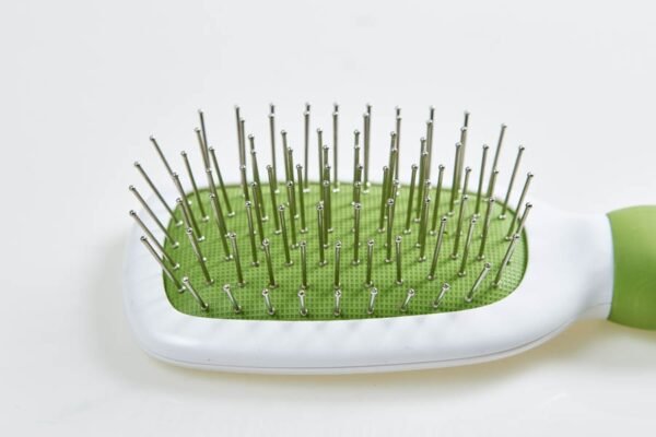 Pet Brush  - Green and White