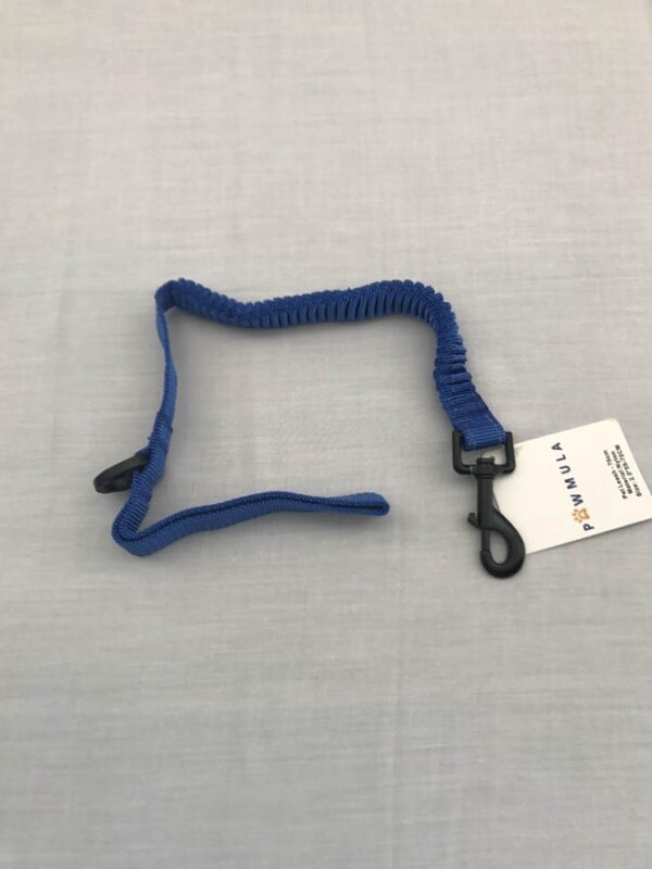 Pet Leash  - Blue 270