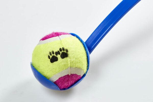 Pet Tennis Toy  - Dark Blue Handle